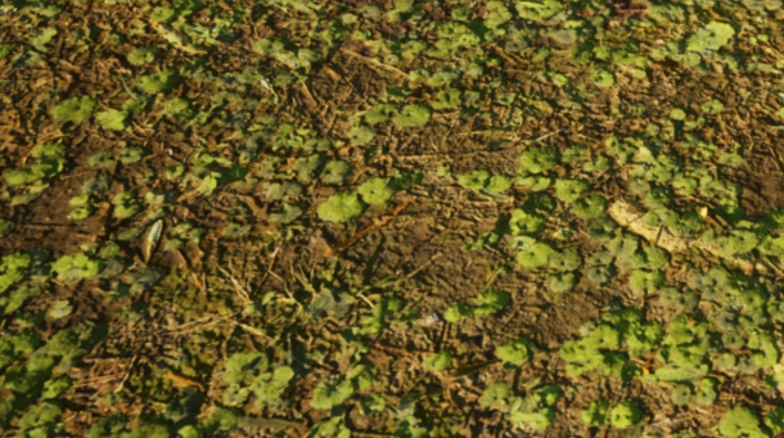 DepthOffset Disable (Enlarge)