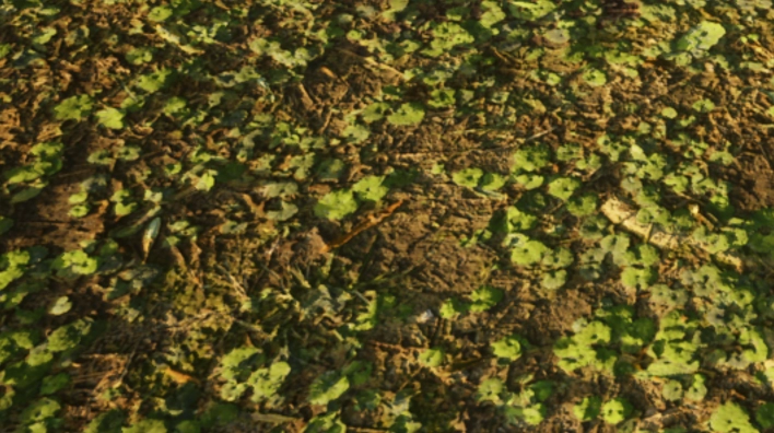 DepthOffset Enable (Enlarge)