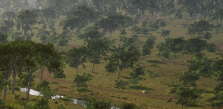 SS Shadows Disable (Enlarge)